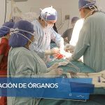 ¿Que se dona y es más transplantado en Ecuador? 1