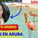 ¿Cuánto dinero se debe llevar a Aruba? 4