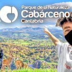 ¿Cuántos km tiene el parque de Cabárceno? 6